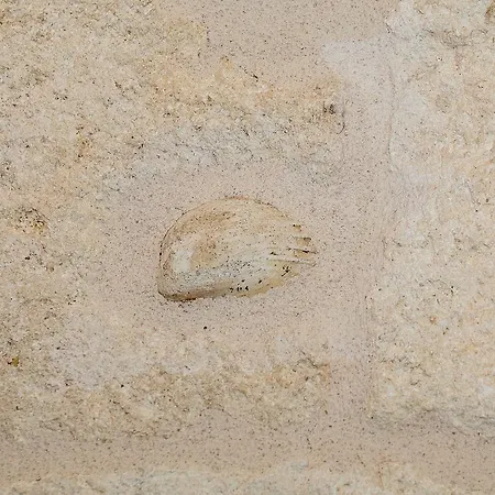 Torres Polignano a Mare