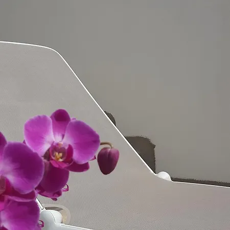 Torres Отель типа 