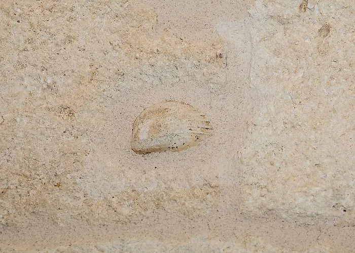 Torres Polignano a Mare