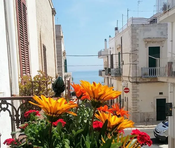 Torres Bed & Breakfast 4*