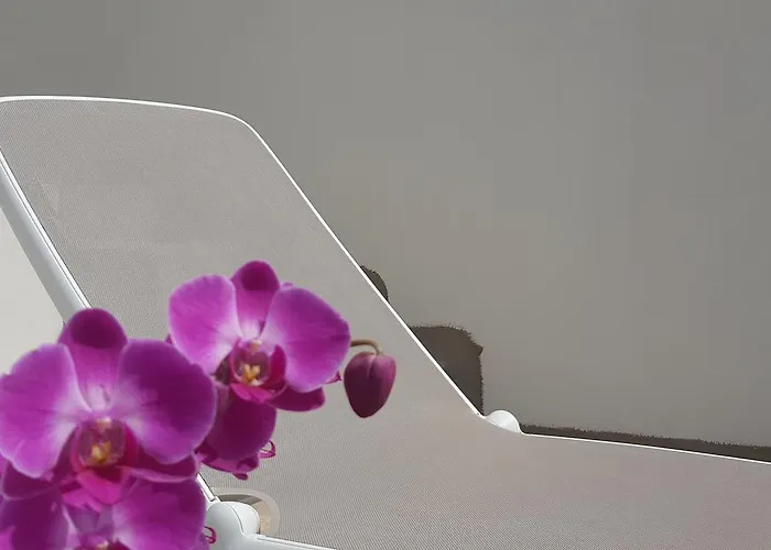 Torres Bed & Breakfast 4*