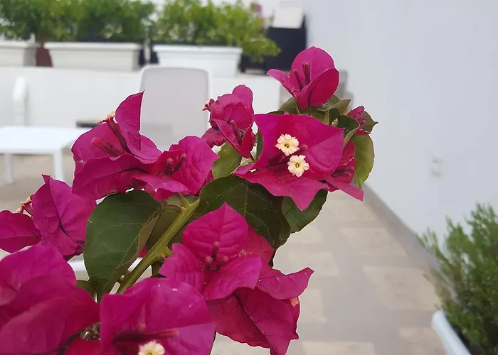 Torres Polignano a Mare